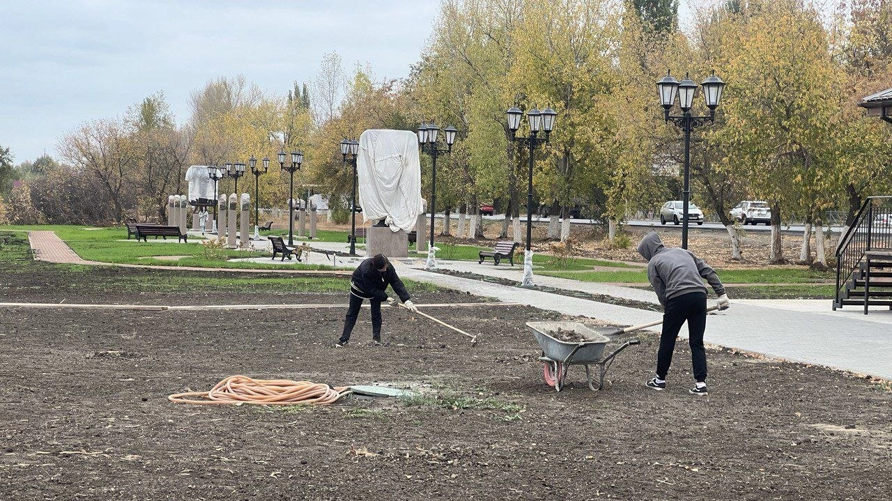 В Энгельсе строится парковый комплекс с шаровидными хвойниками и пляжем