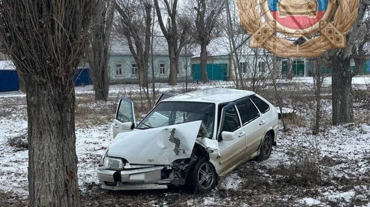 «Четырнадцатая» протаранила дерево – погибла саратовчанка