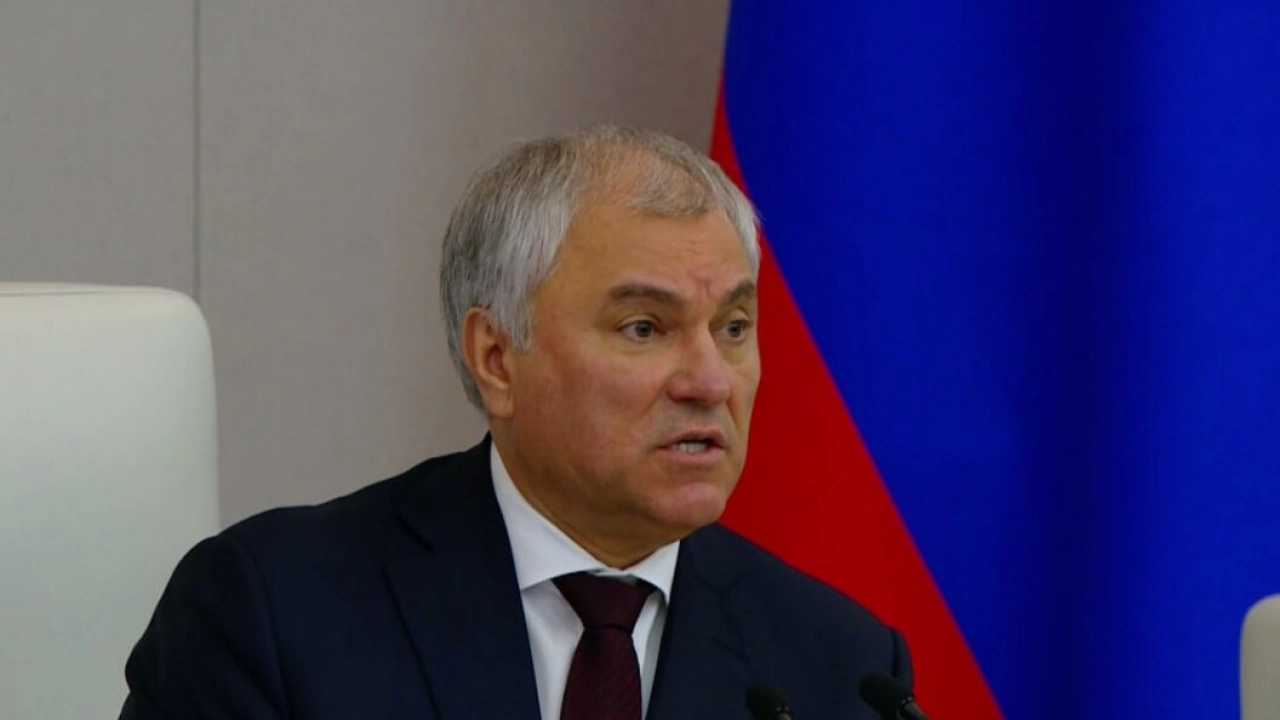 Володин рассказал депутатам о трехногой собаке и приблудном котенке