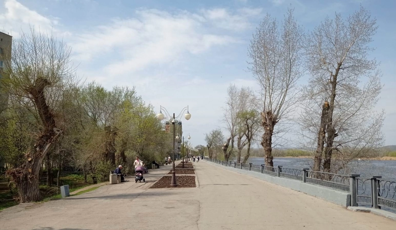 В Энгельсе землю под жилищную застройку продают за 32 млн рублей