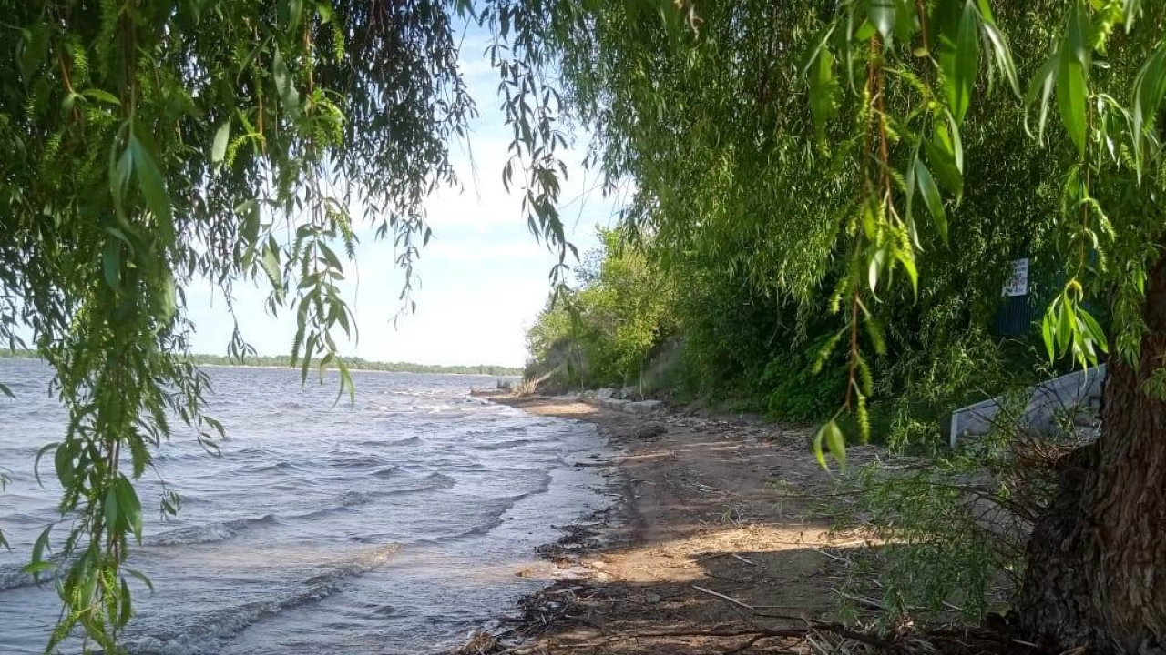 Драка во время культмероприятия на турбазе в Энгельсе: есть пострадавшие