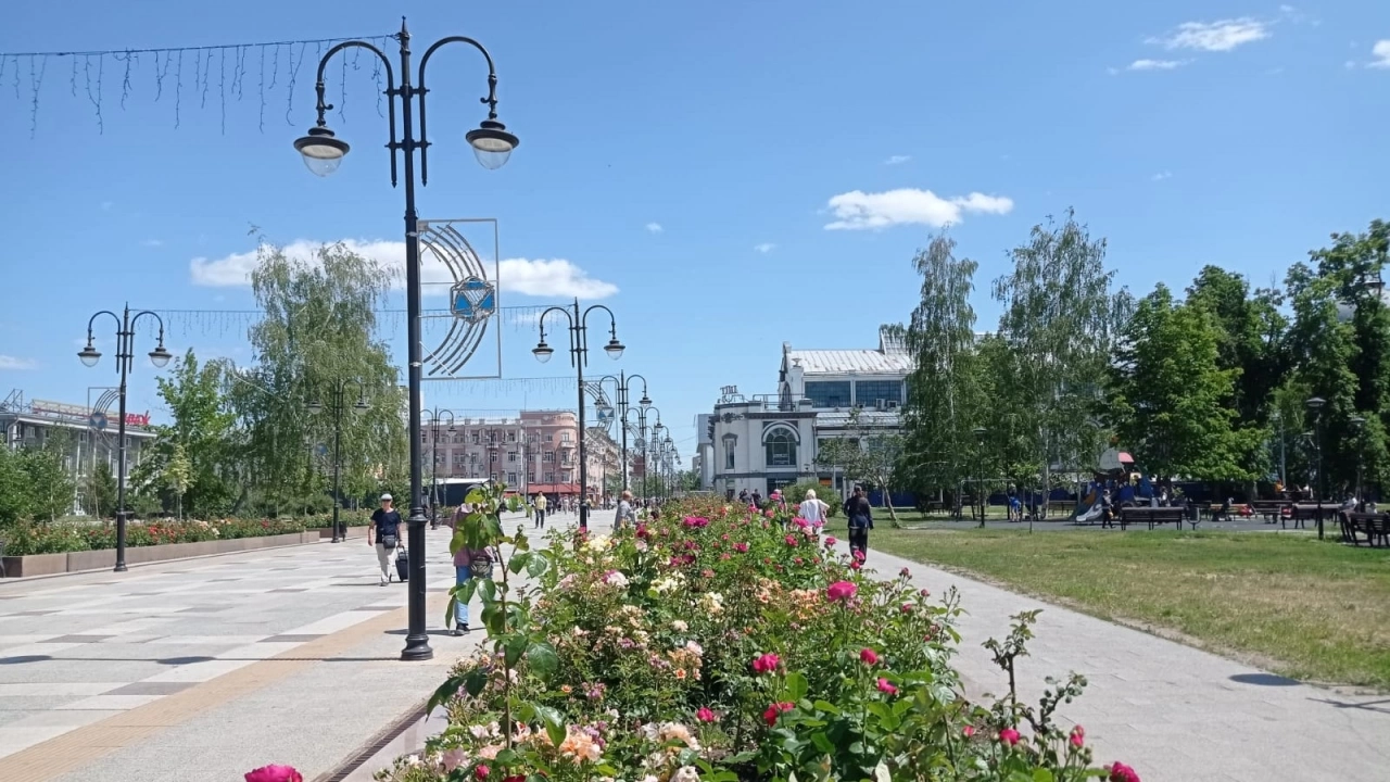 Саратовцы пришли в ужас от состояния сквера Победы в Солнечном